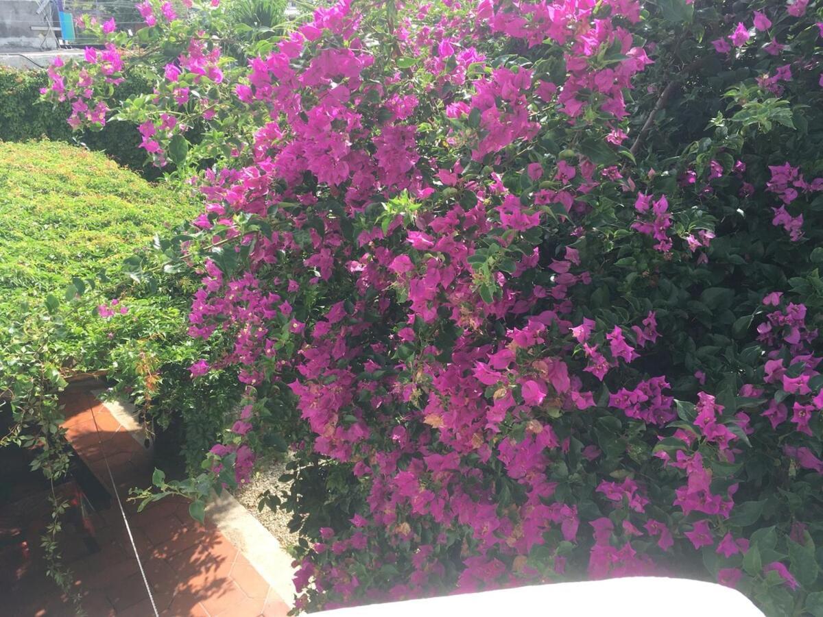Apartamento Charming Very Quiet Center Renewed Playa del Carmen